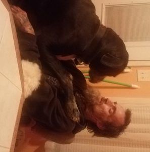 Meet your Posher, Bill